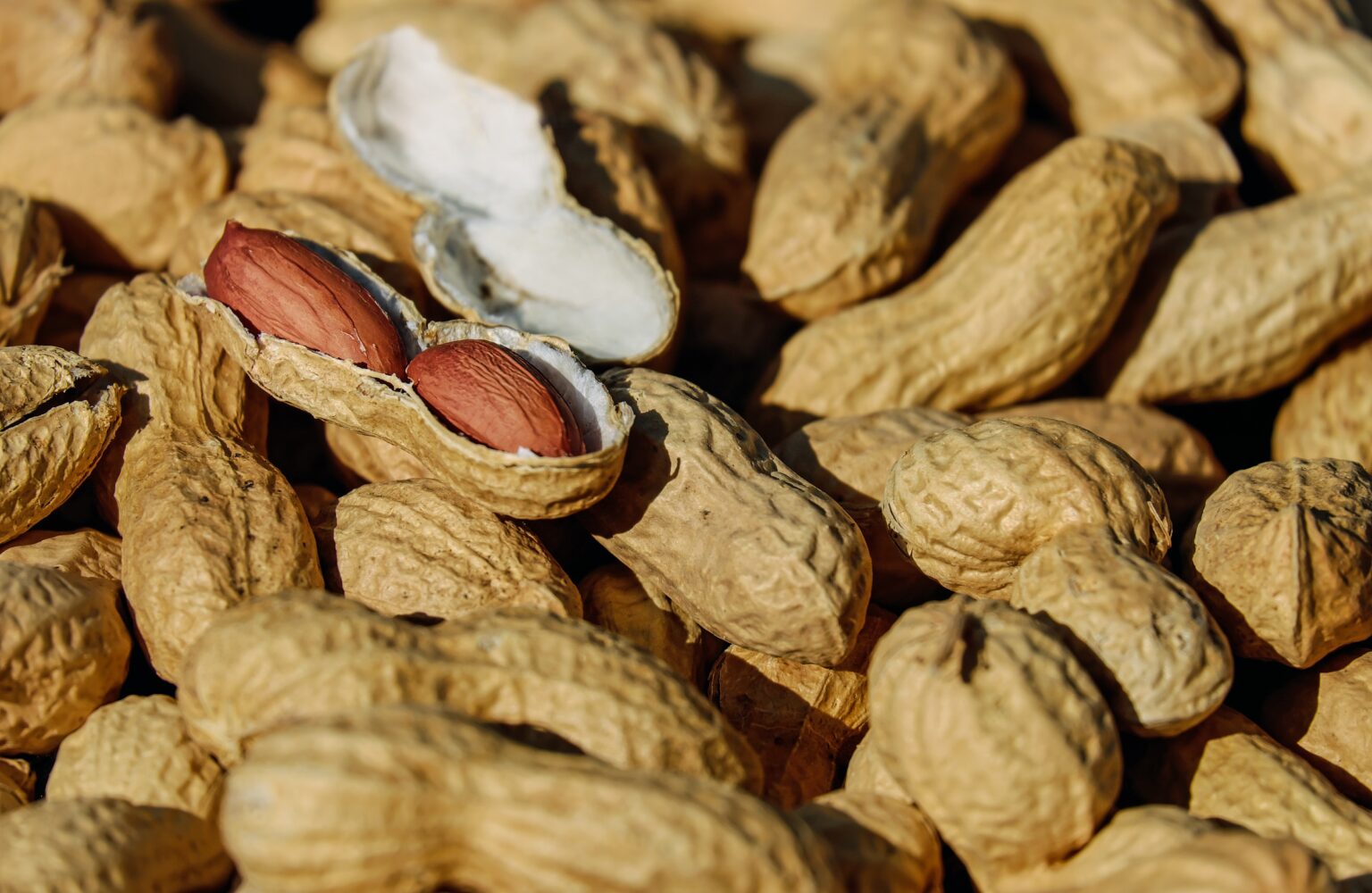 Russia busted North Korean peanut delivery in rare sanctions compliance: records