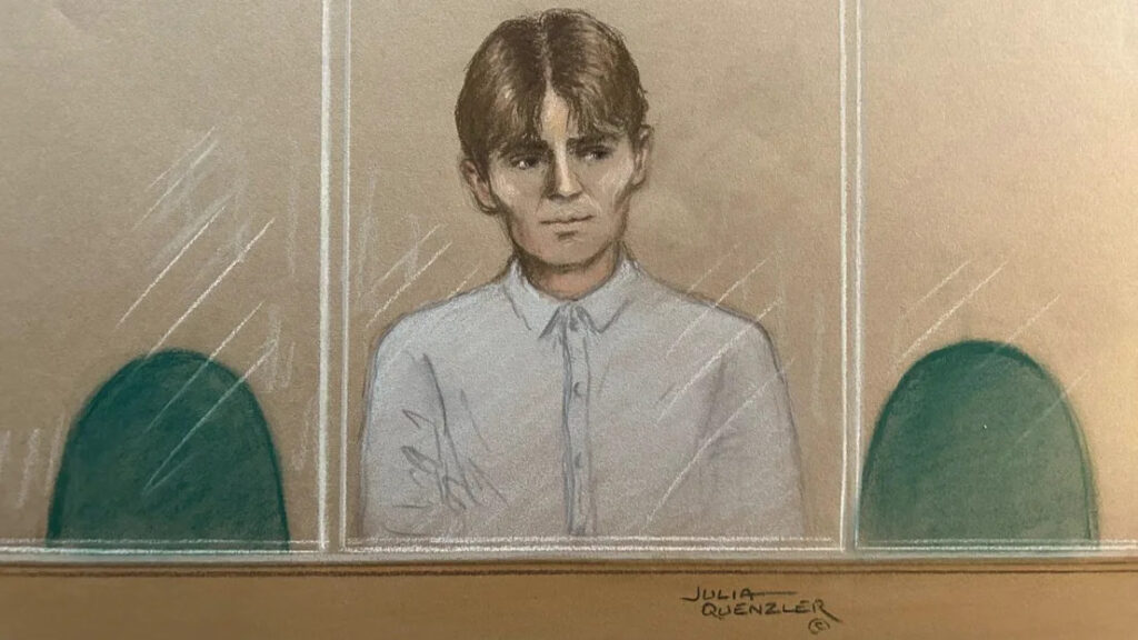 Norway teen flew to UK to carry out 'hit'