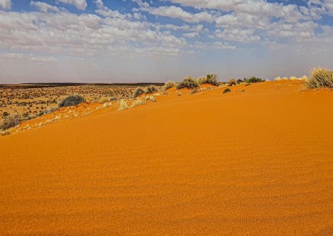 Sand dunes in the Simpson Desert