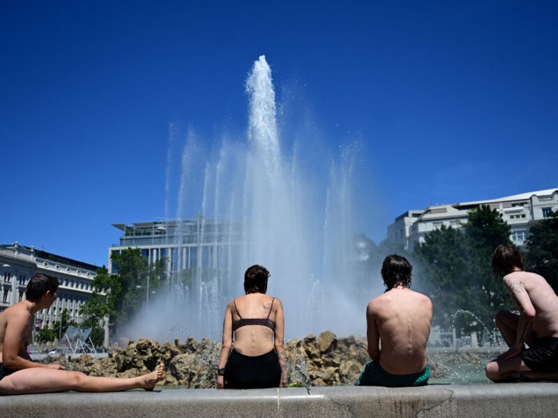 Immobilized by heat wave, handicapped man sues Austria in rights court Immobilized by heat wave, handicapped man sues Austria in rights court