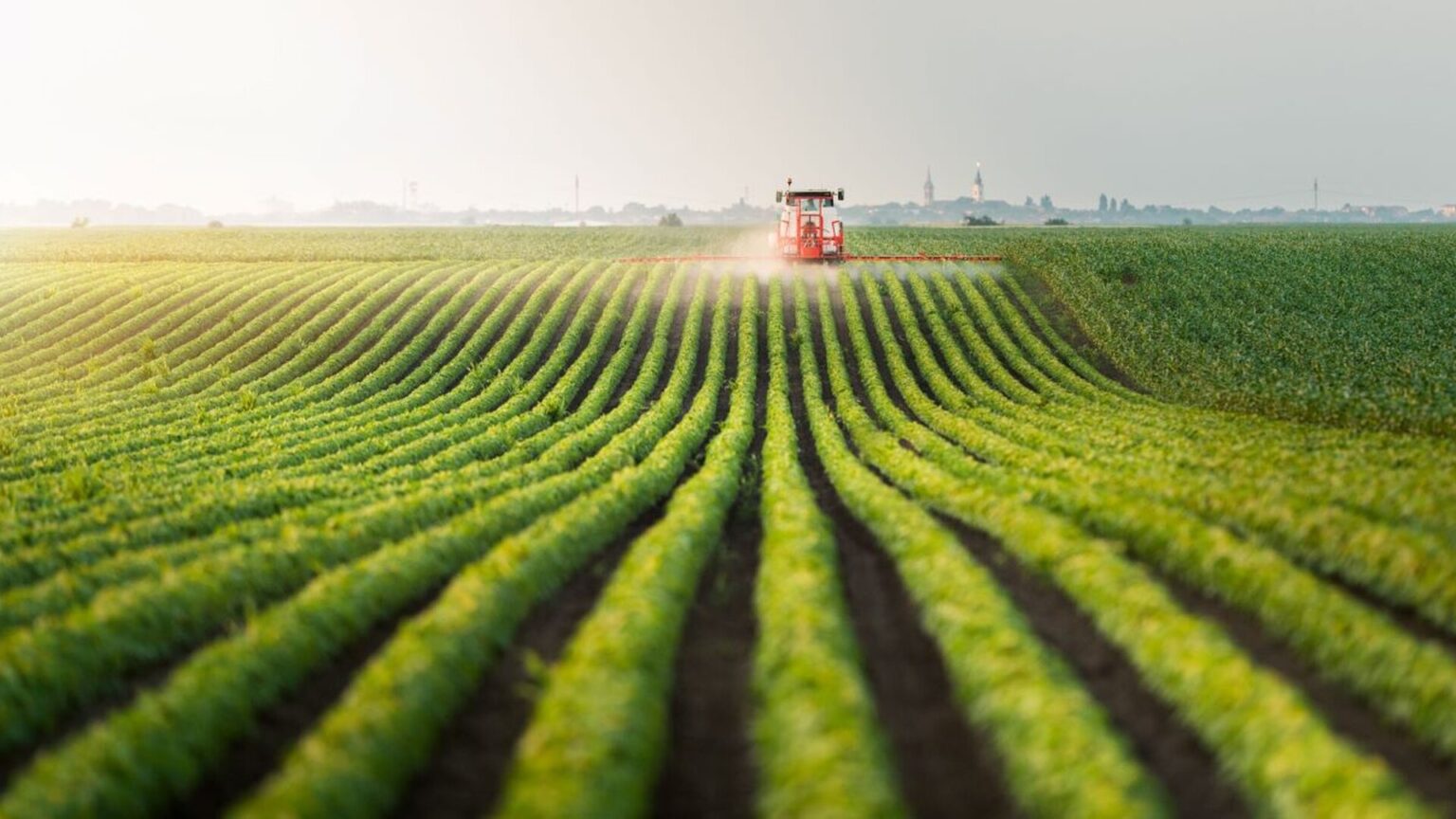 Field Sampling Technology Allows for Real Time Decisions Field Sampling Technology Allows for Real Time Decisions