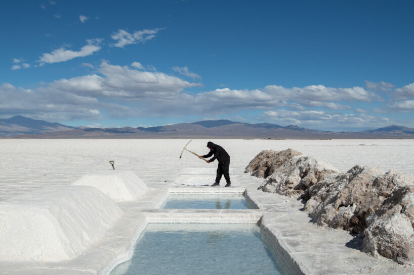 tomás saraceno's largest ever exhibition in germany opens as a multispecies landscape - 2