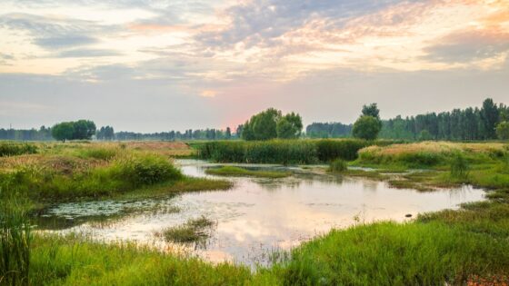 Lords push through bill that would see ecosystems considered ‘legal subjects’ Lords push through bill that would see ecosystems considered 'legal subjects'