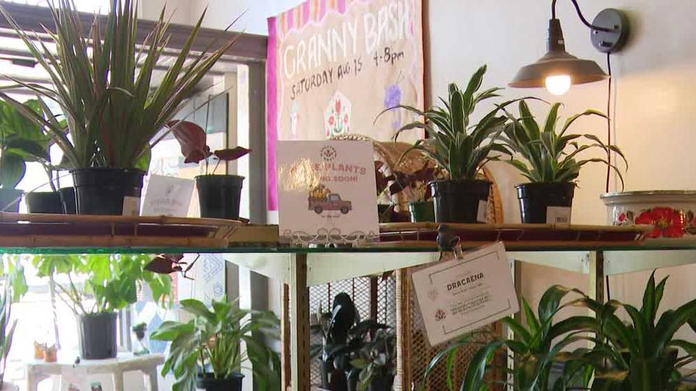 Sheelytown Market in Little Italy to close citing economy