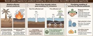 Rewetting severely wildfire-affected peatlands could deliver unexpected climate benefits Rewetting severely wildfire-affected peatlands could deliver unexpected climate benefits