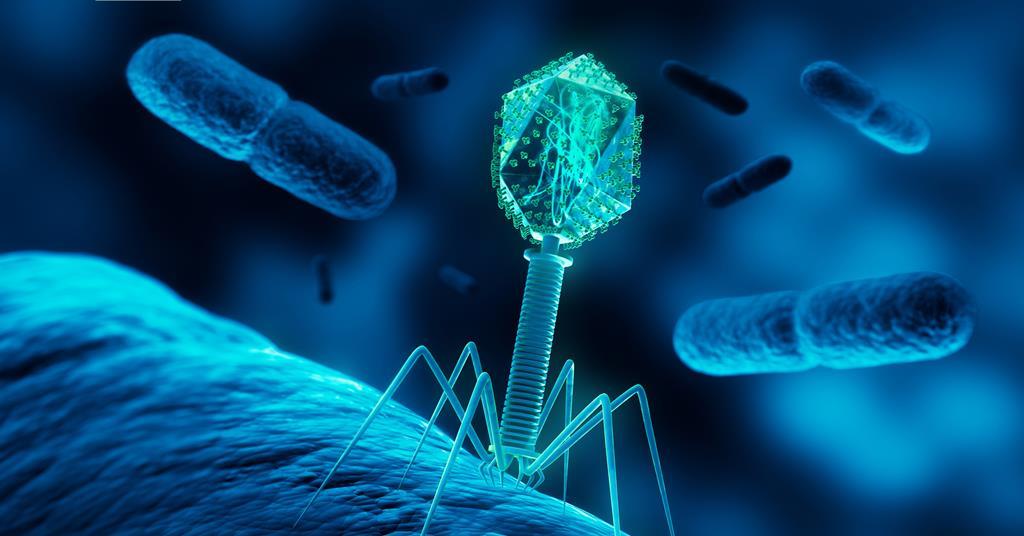 AI-designed bacteriophage genomes defeat bacterial resistance AI-designed bacteriophage genomes defeat bacterial resistance