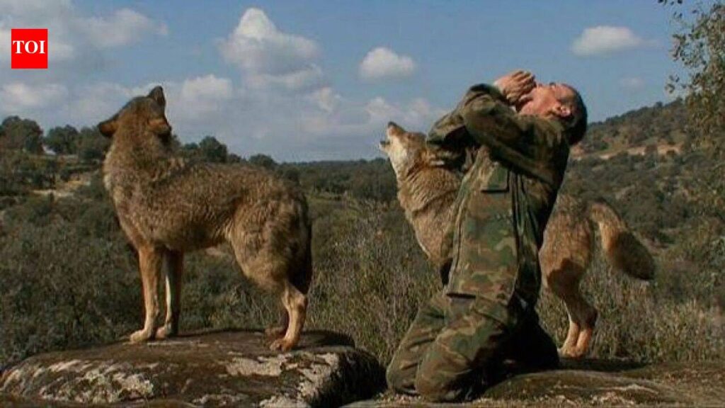 He lived alone in the wild with wolves for 12 years; Spain’s famous ‘wolf boy’ Marcos Rodríguez Pantoja dies at 80 | World News He lived alone in the wild with wolves for 12 years; Spain’s famous ‘wolf boy’ Marcos Rodríguez Pantoja dies at 80 | World News
