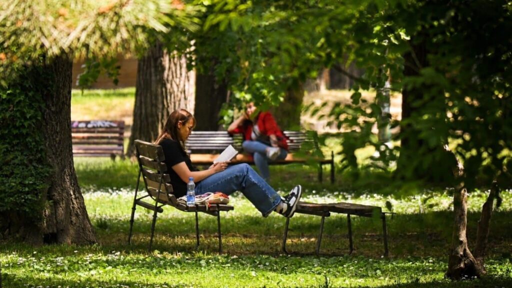 Translation Cutbacks Limit International Access to North Macedonia’s Literature Translation Cutbacks Limit International Access to North Macedonia’s Literature