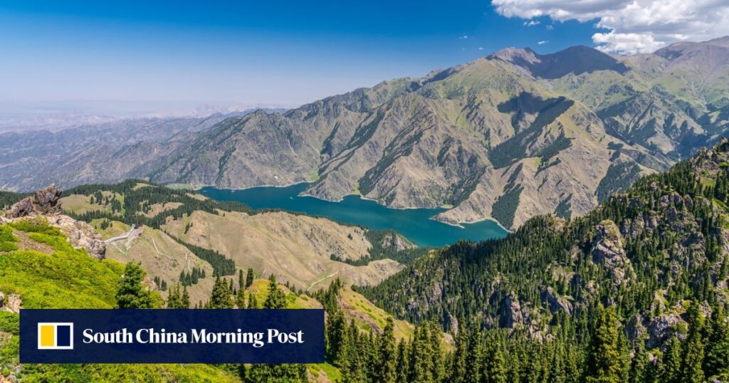 How a Xinjiang weed could reduce China’s reliance on Southeast Asian rubber How a Xinjiang weed could reduce China’s reliance on Southeast Asian rubber
