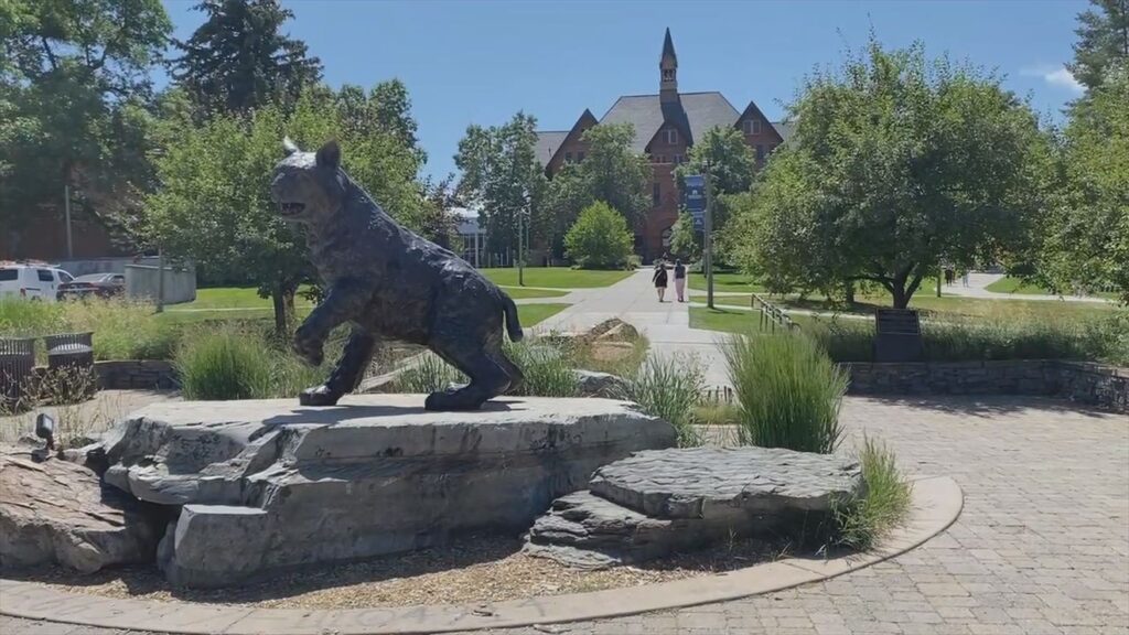 MSU to host Future of AI conference station icon