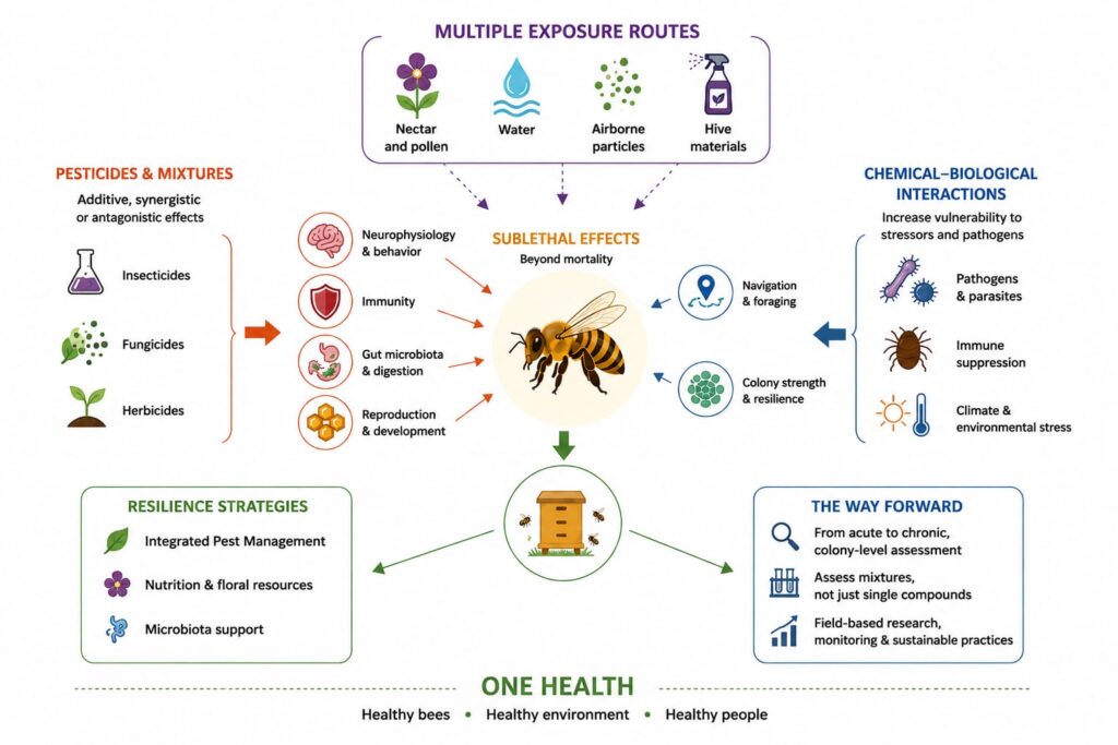 The Value of Bees as a Sentinel Species to Monitor Environmental Health: A One Health Perspective on Pesticides, Ecosystems and Human Well-Being The Value of Bees as a Sentinel Species to Monitor Environmental Health: A One Health Perspective on Pesticides, Ecosystems and Human Well-Being