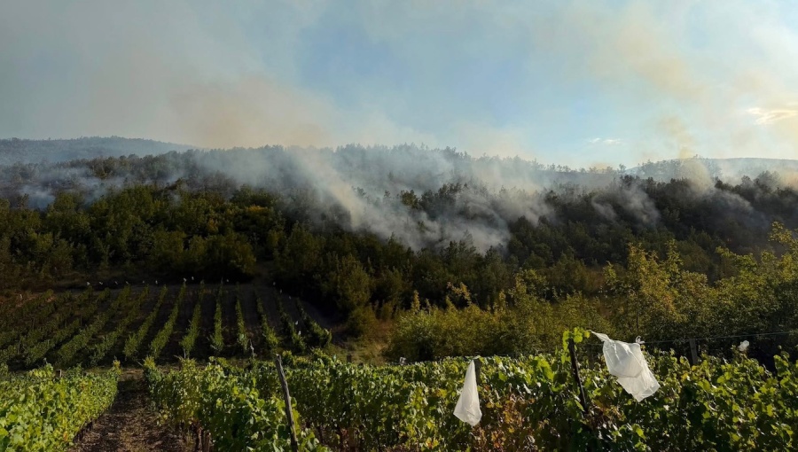 bne IntelliNews – North Macedonia battles wildfires and water contamination as Europe’s drought intensifies bne IntelliNews - North Macedonia battles wildfires and water contamination as Europe’s drought intensifies