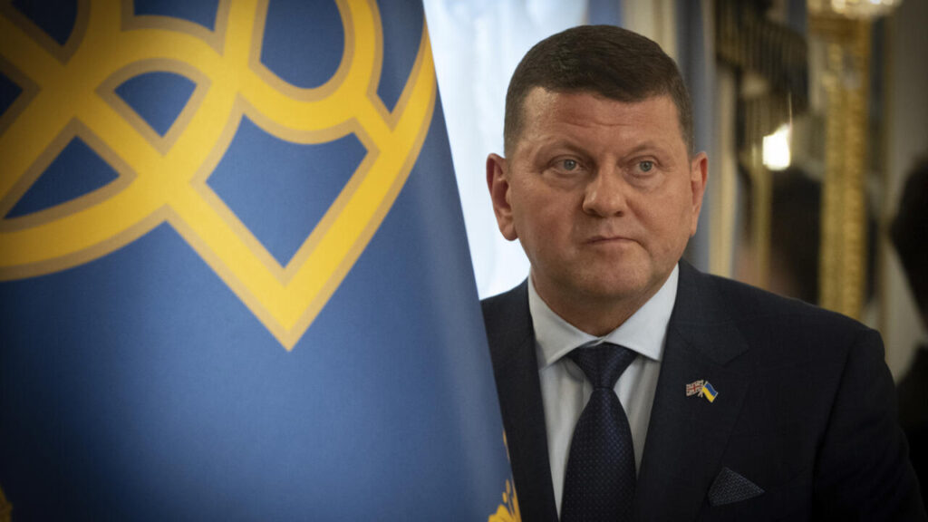 Why has Ukraine’s former military chief given up on NATO membership? Why has Ukraine's former military chief given up on NATO membership?