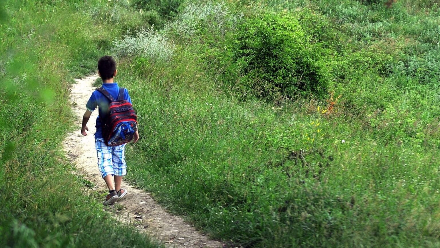North Macedonia Sees Drop in New School Pupils amid Demographic Woes North Macedonia Sees Drop in New School Pupils amid Demographic Woes