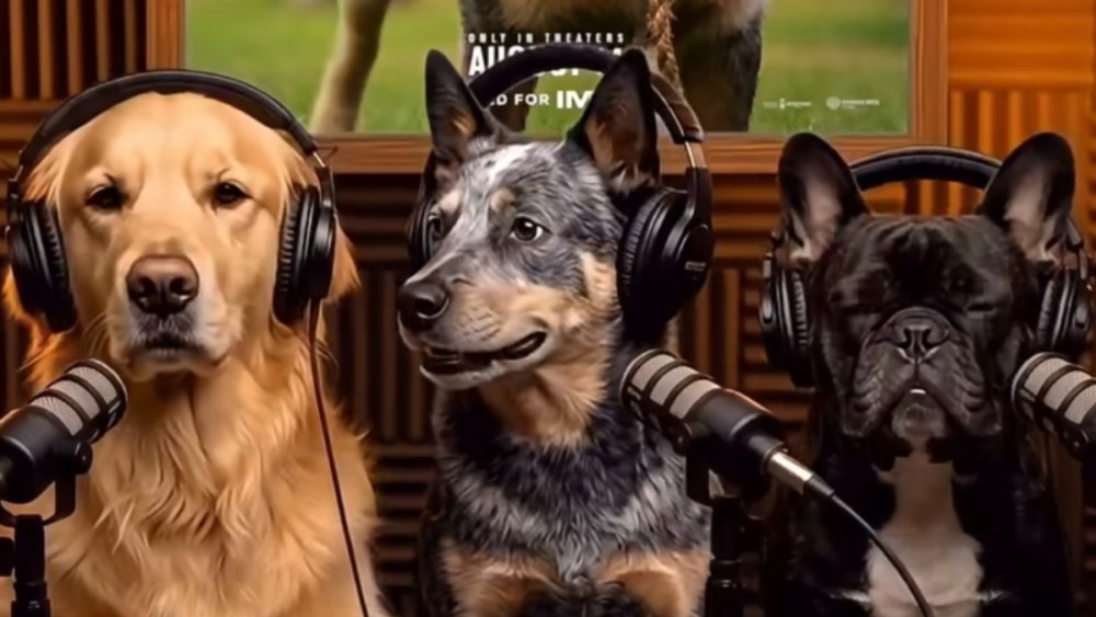 Warner Bros. Uses AI Dog Podcast to Promote ‘The End of Oak Street’ Warner Bros. Uses AI Dog Podcast to Promote 'The End of Oak Street'