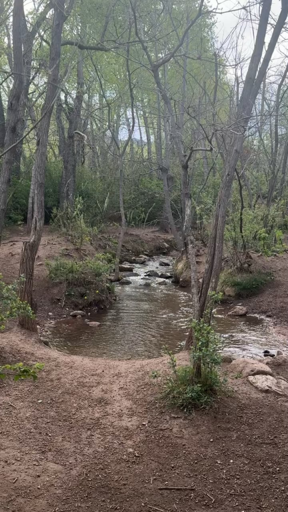 A little moment