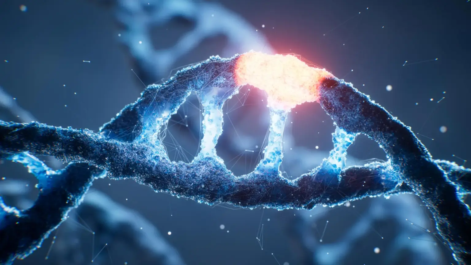 A hidden “on switch” in human DNA has finally been decoded A hidden “on switch” in human DNA has finally been decoded