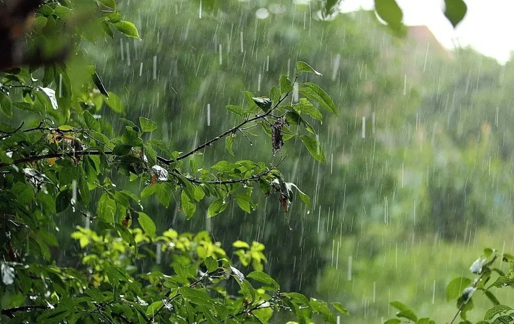 Azerbaijan issues weather warning for unstable conditions Azerbaijan issues weather warning for unstable conditions