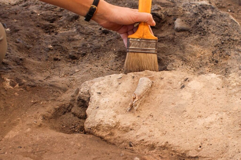 Hidden under brush for 4,000 years, a Giant’s Tomb emerges in Sardinia, Italy Hidden under brush for 4,000 years, a Giant's Tomb emerges in Sardinia, Italy
