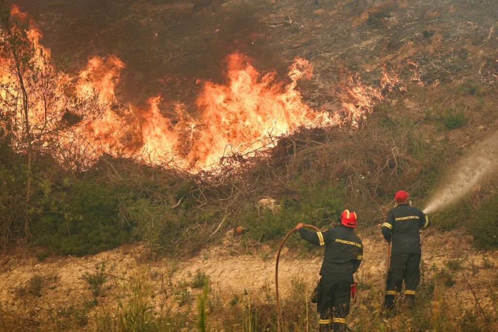 After wildfires in Greece, 282 pets, farm animals, and wild animals are pulled to safety