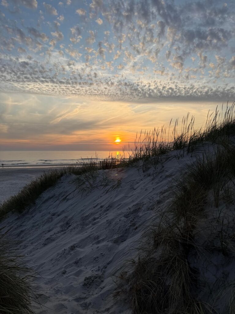 Westcoast of Denmark