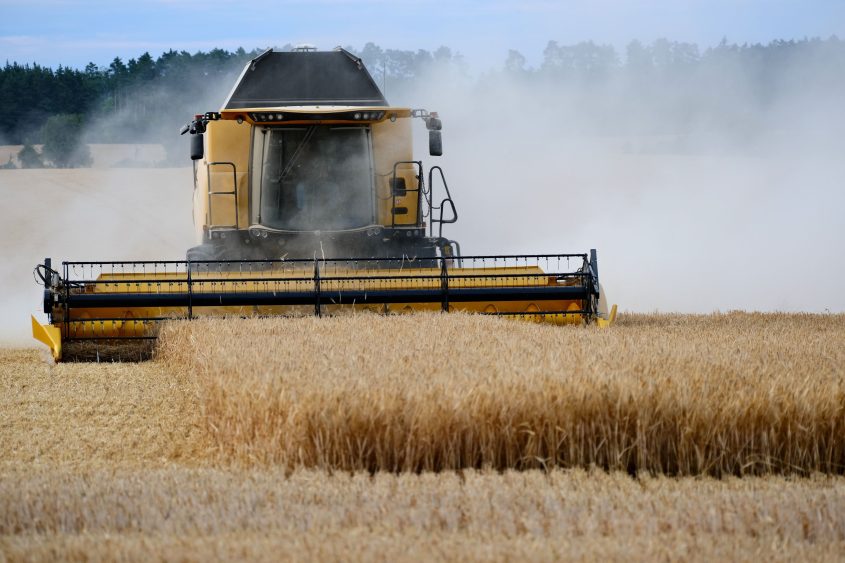 Rain, WASDE and Geopolitics Lead Market Focus