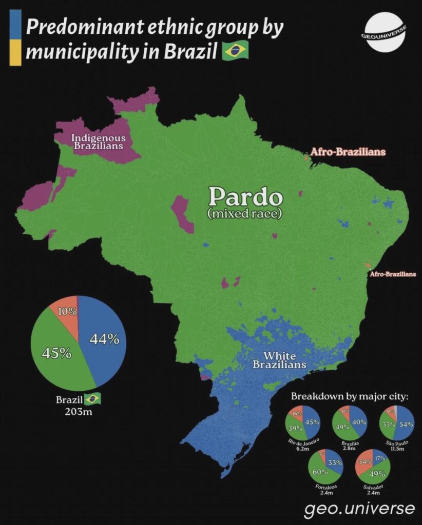 Predominant racial group by municipality in Brazil (in 2022)