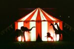 stock circus