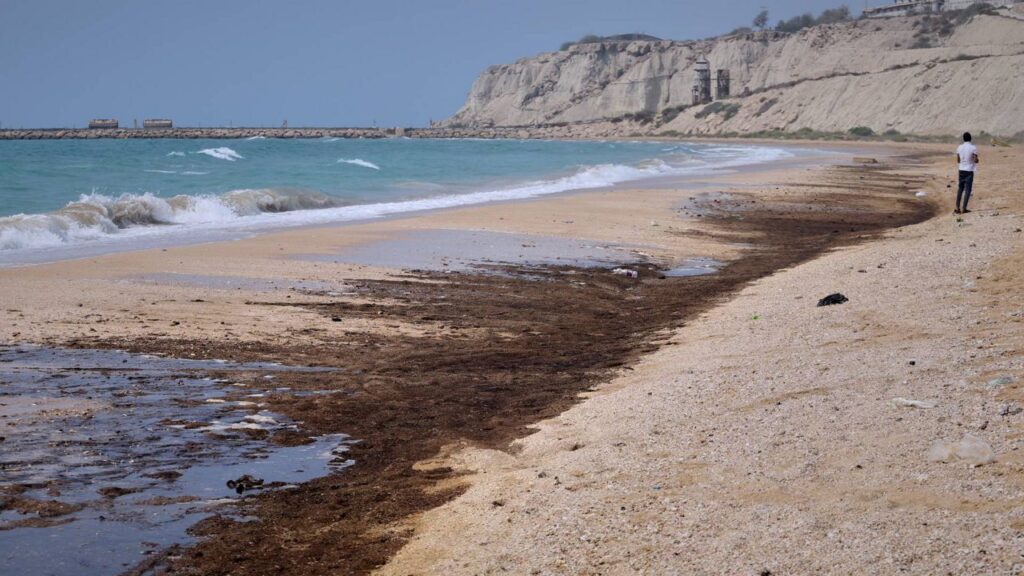 Ship attacked during Strait of Hormuz transit Dark oil residue covers parts of the shoreline at Shib Deraz Beach on Qeshm Island, Iran, Thursday, Aug. 13, 2026, amid ongoing wartime attacks on vessels and infrastructure in and around the Strait of Hormuz, though the spill s source has not been independently determined. (Amirhosein Khorgooei/ISNA)