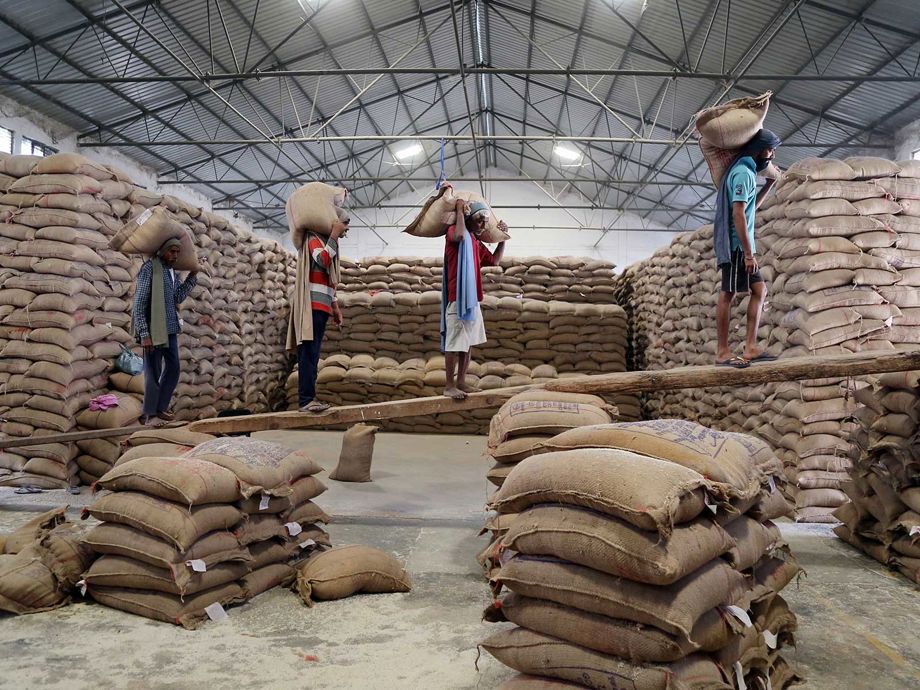Geopolitical Ripples Redefine International Rice Trade Geopolitical Ripples Redefine International Rice Trade