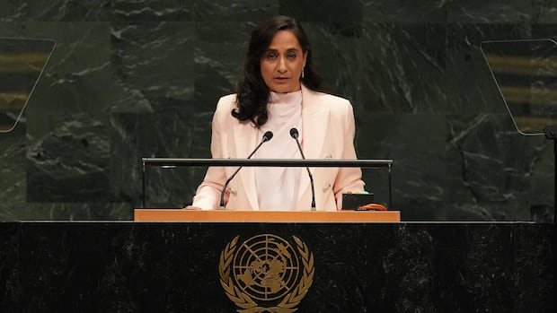 In UN address, Anand takes jab at ‘great powers’ disrupting global order In UN address, Anand takes jab at 'great powers' disrupting global order