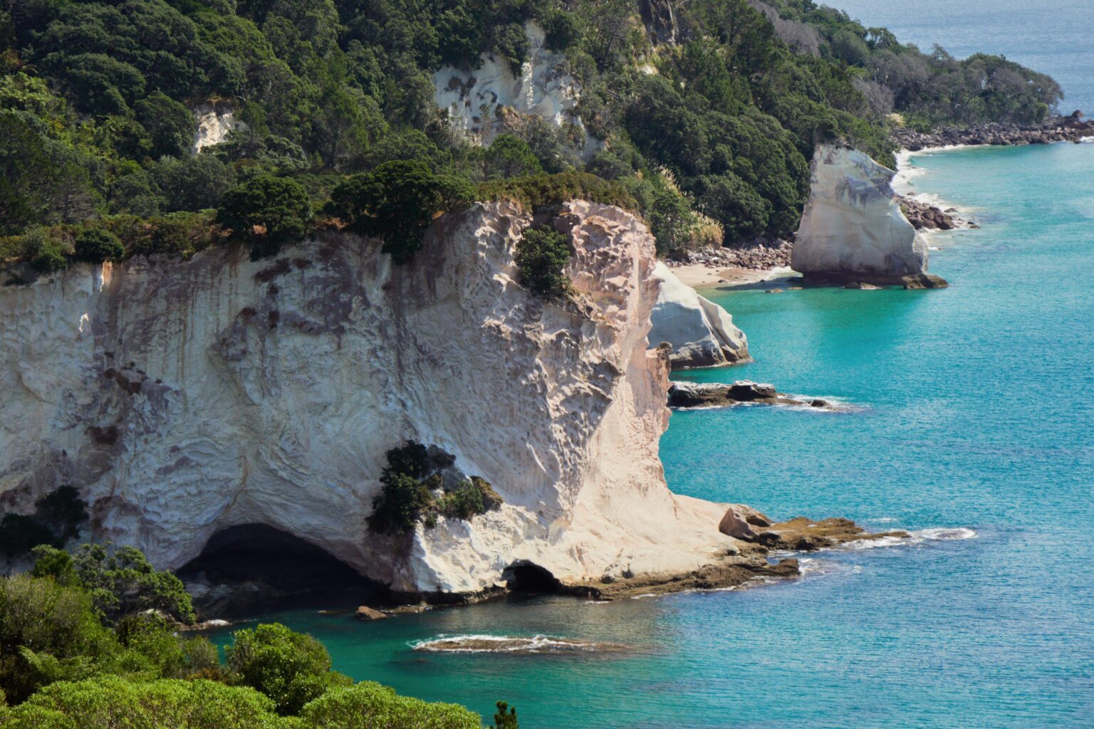 Coromandel Peninsula, New Zealand