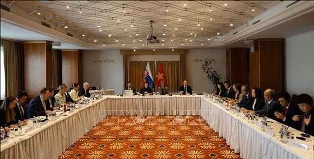 Meeting highlights economic cooperation between Việt Nam and Slovakia