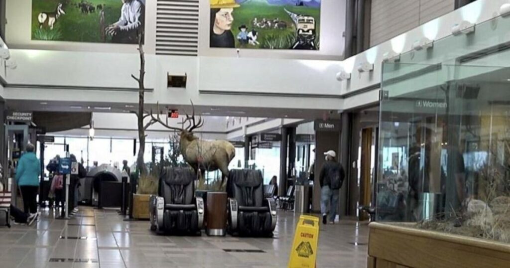 Wyoming Airports generate $3.5 Billion in annual economic impact | News Wyoming Airports generate $3.5 Billion in annual economic impact | News