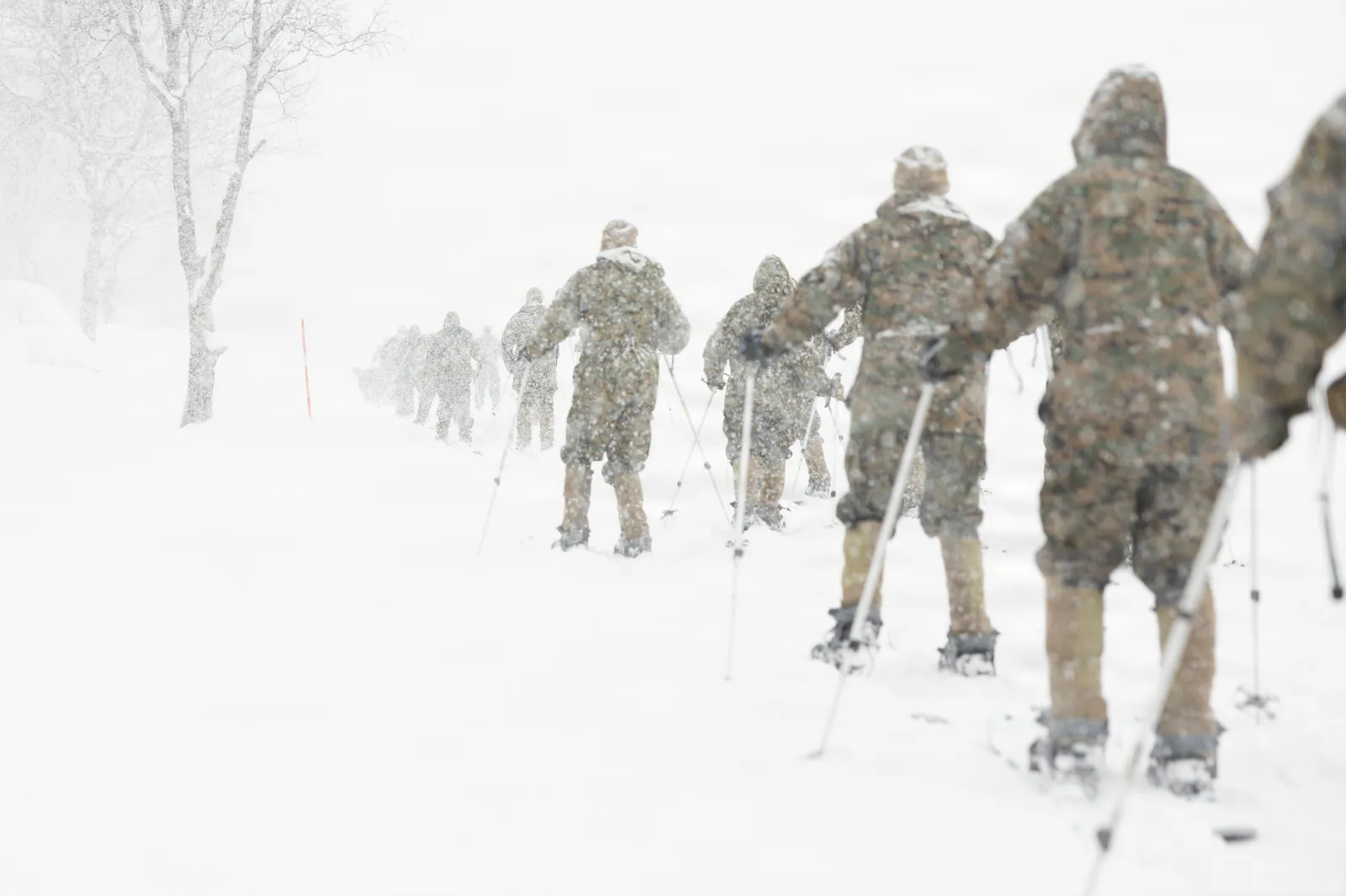 U.S. Marines and Sailors with 2nd Distribution Support Battalion, Combat Logistics Regiment 27, 2nd Marine Logistics Group, learn how to ski during cold weather training in preparation for exercise Cold Response 26 in Elvegardsmoen, Norway, February 15, 2026.