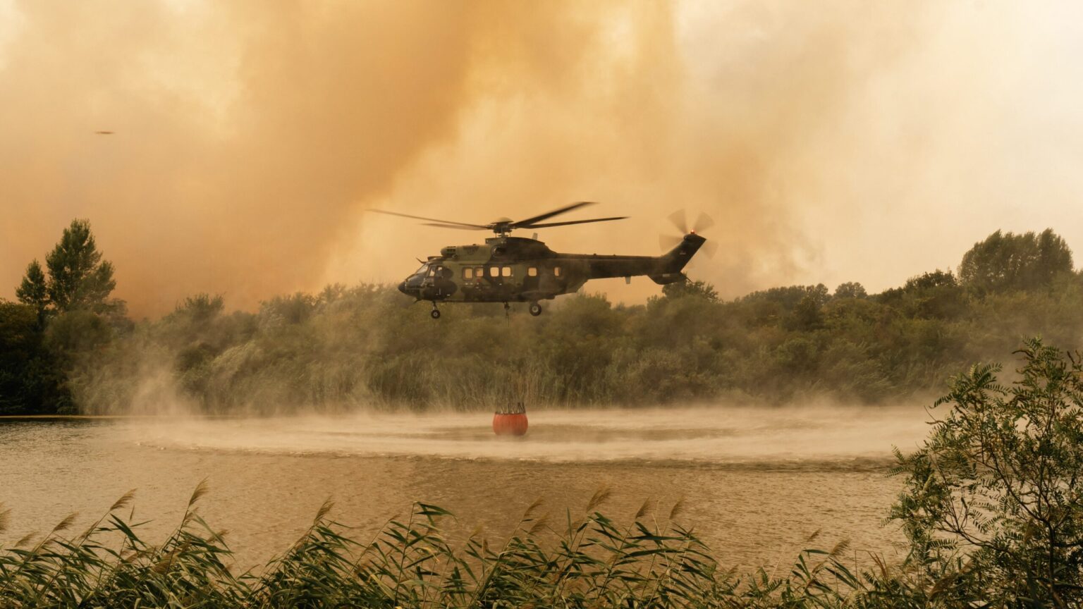 Europe’s Sahara on Fire: Wildfire Trends in Serbia