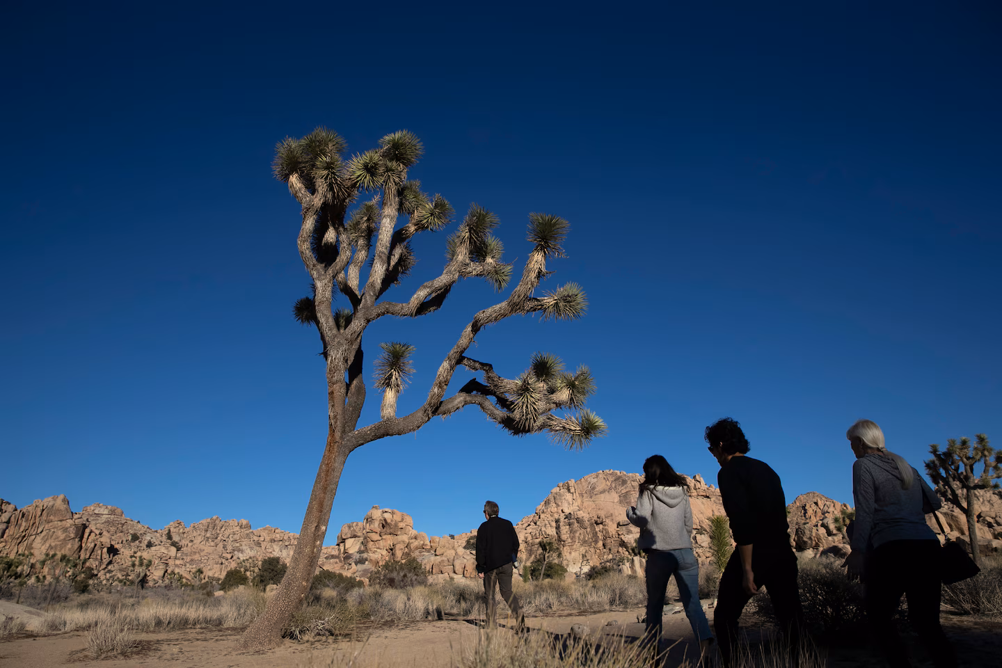 Critics question lack of transparency and fund reallocation