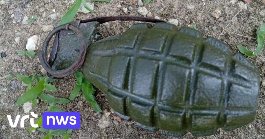 Recycling center employees in Riemst find hand grenade among 'small hazardous waste' | VRT NWS News