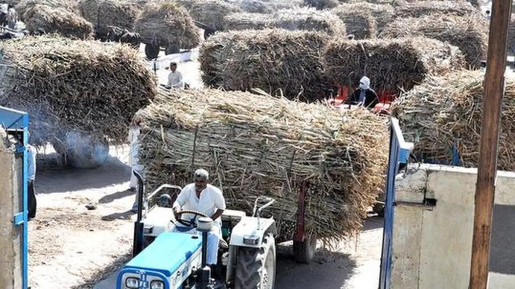 India’s agriculture and geopolitics: A food security outlook India’s agriculture and geopolitics: A food security outlook