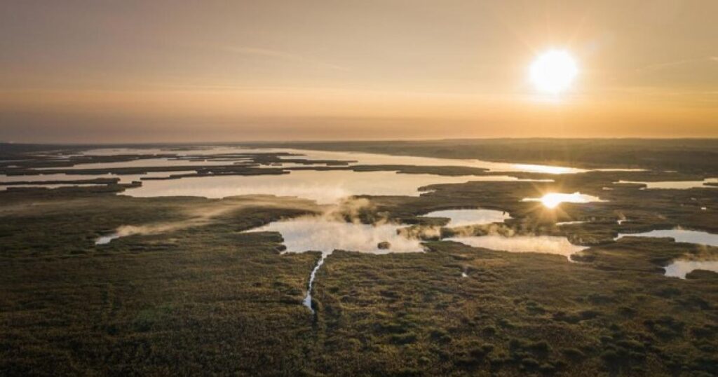 Commission launches Water Resilience Stakeholder Platform Commission launches Water Resilience Stakeholder Platform