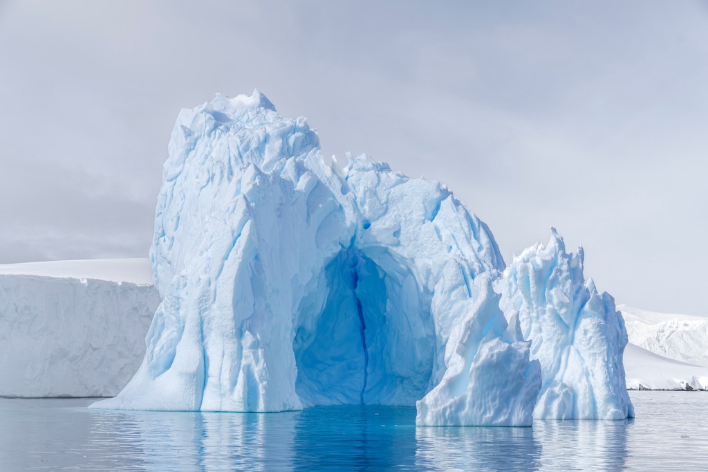 William Shatner is seen during the Antarctica Expedition Sea Venture.