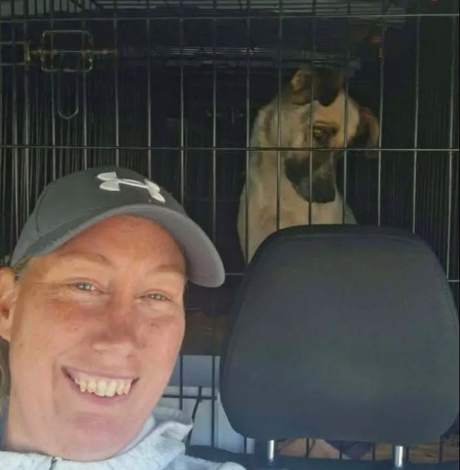 TWO Brit women have been killed in a horror pile-up while rescuing 10 dogs ? as heartbreaking tributes pour in for the ?beautiful rare diamonds?. Allison Condon, 61, and Rachael Harvey-Purkiss, 41, died in a crash involving their minibus as well as two trucks and a van in Romania. Her dad Paul shared the final image he ever received from Rachael