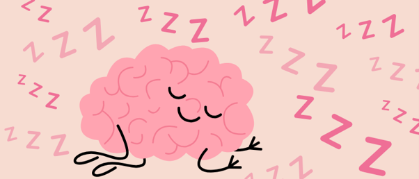 The Science Of Sleep Drive The Science Of Sleep Drive