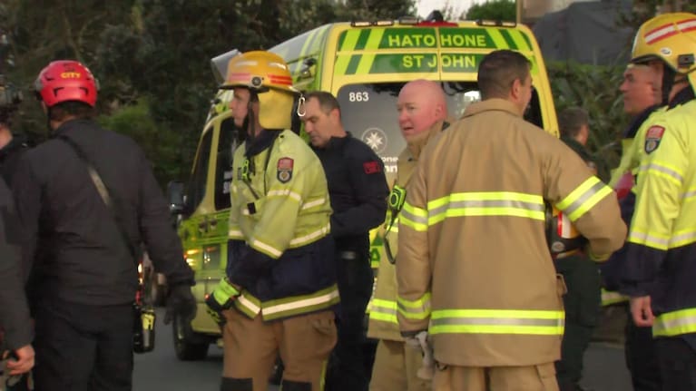 Emergency services including Fire and Emergency New Zealand, police, and St John teams were pictured at the scene.