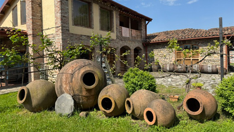 These are 17 of the best wines from the country of Georgia.