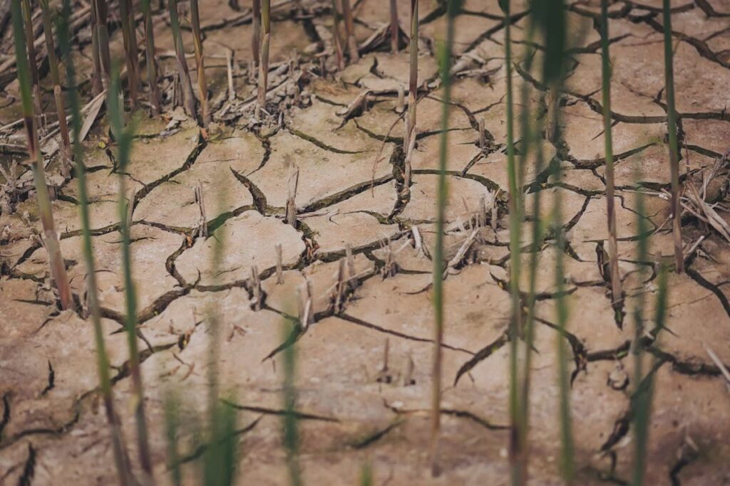 Moldova imposes 60-day emergency as drought and conflicts strain water and energy supplies