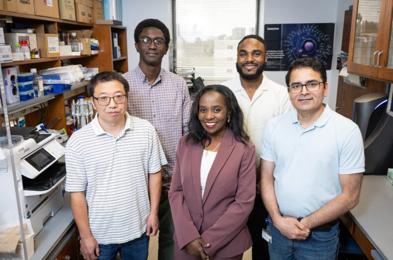 Researchers identify new therapeutic target for salt-sensitive hypertension