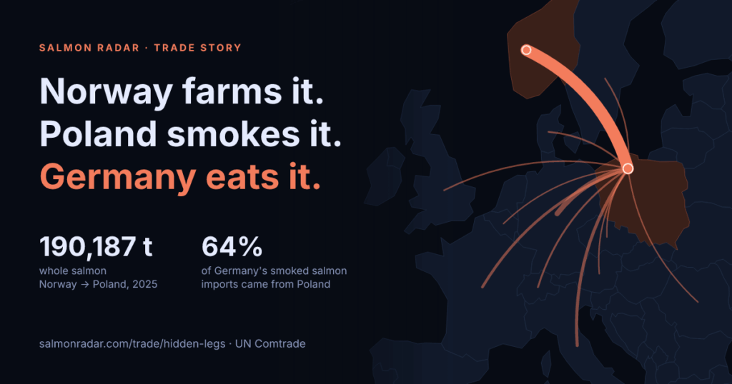 [OC] Norway's biggest salmon customer is Poland. But Poland doesn't eat it: it smokes it and ships it to Germany (2025, UN Comtrade)