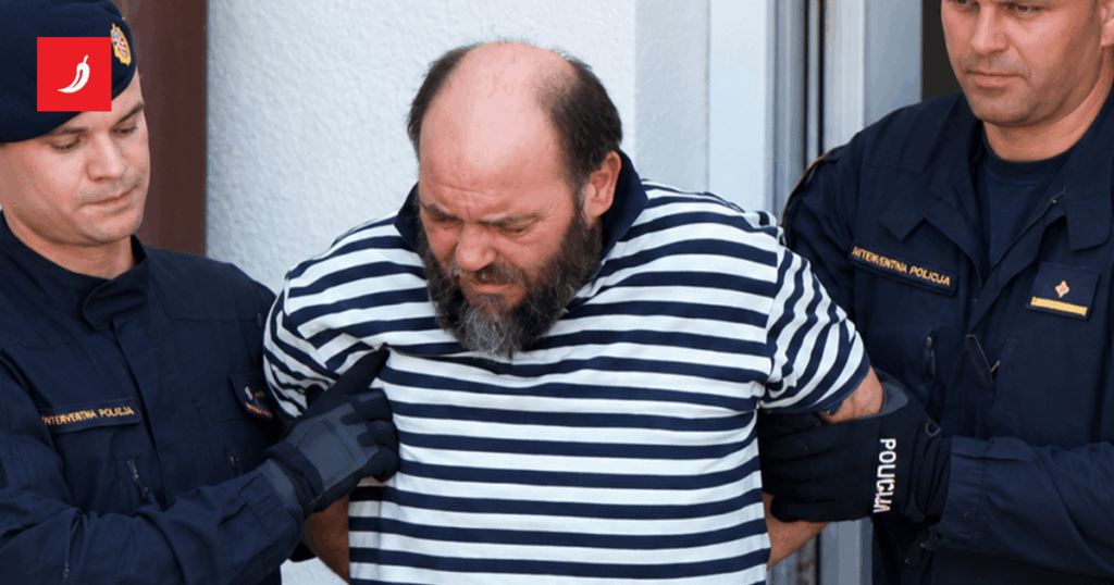 The trial of Aleksić for the murder of delivery boy Luka (19): I had a knife if the gun didn't go off