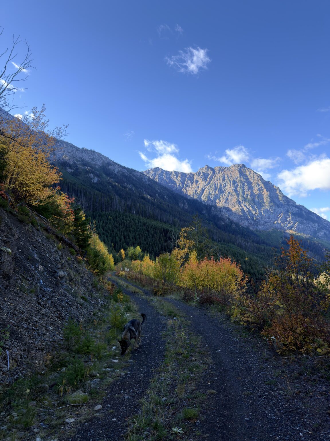Canada bc